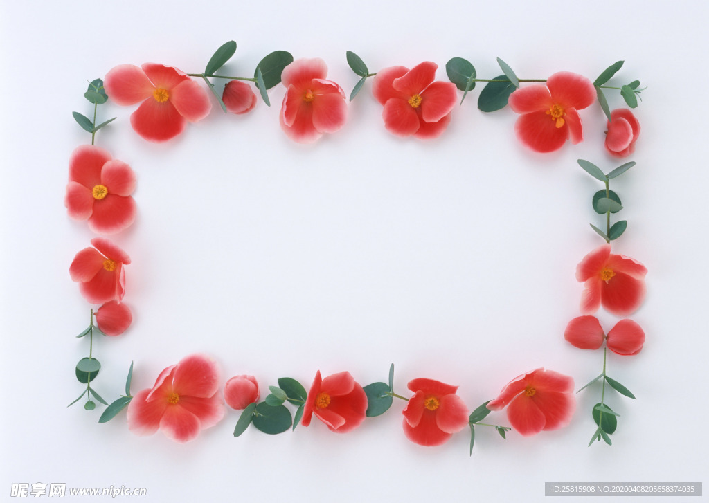 花环花篮花框唯美图片