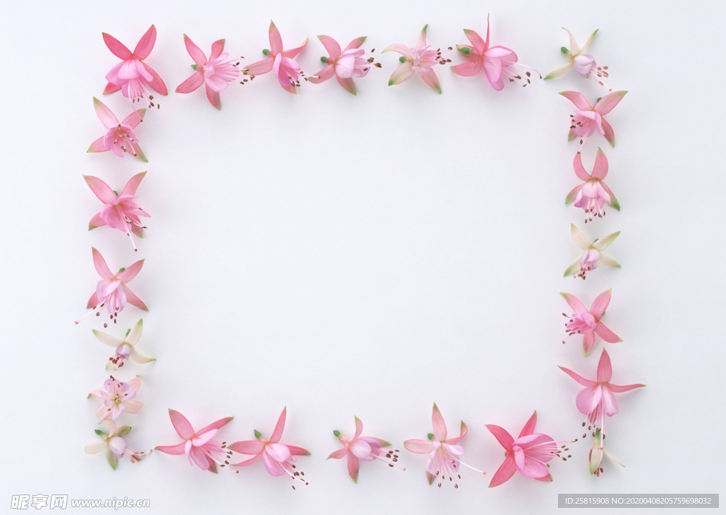 花环花篮花框唯美图片