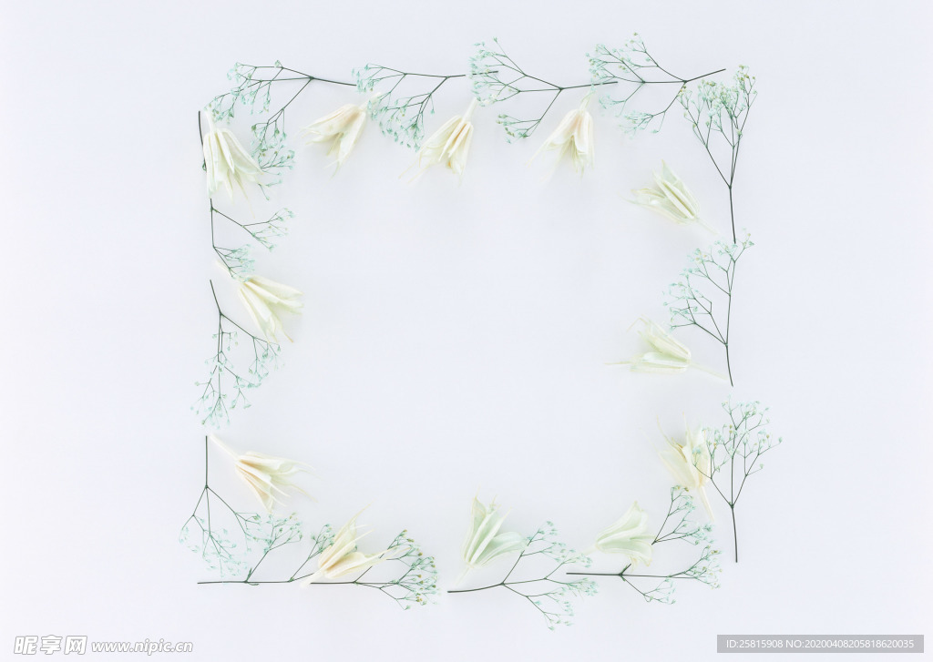 花环花篮花框唯美图片