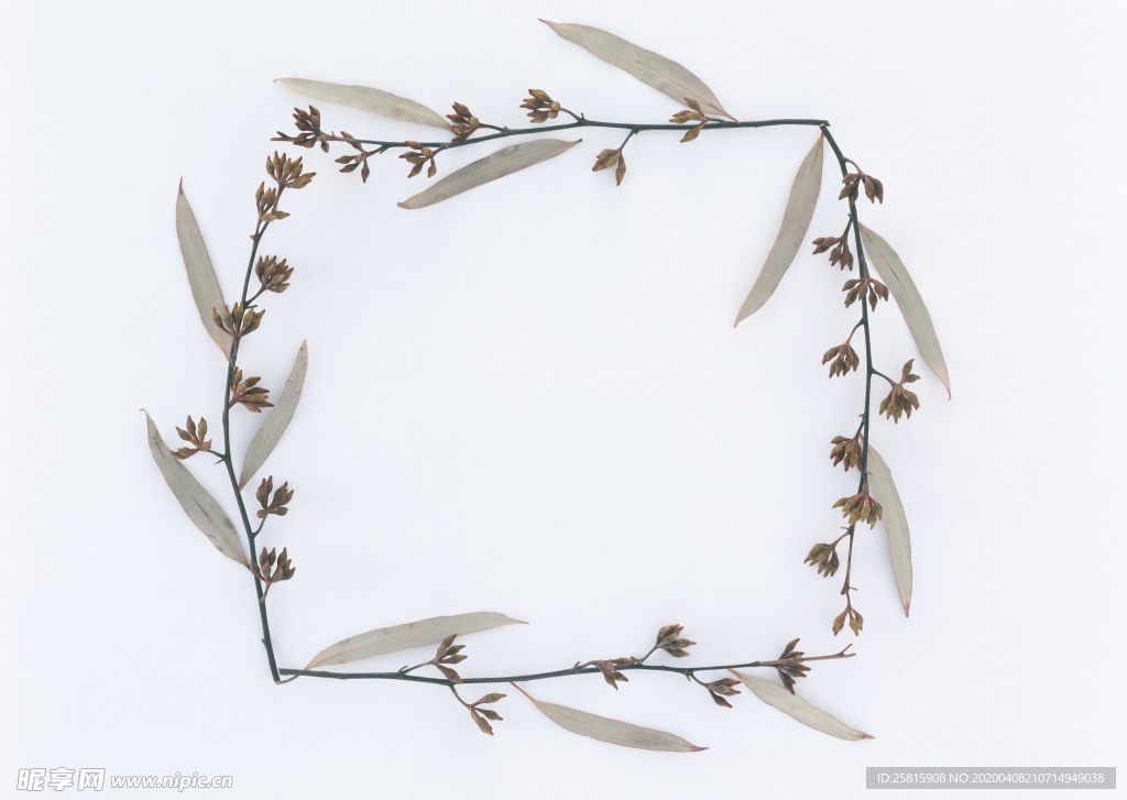 花环花篮花框唯美图片