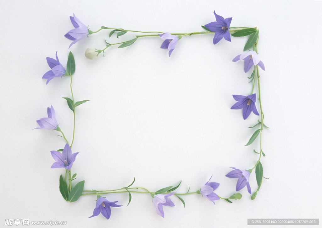 花环花篮花框唯美图片