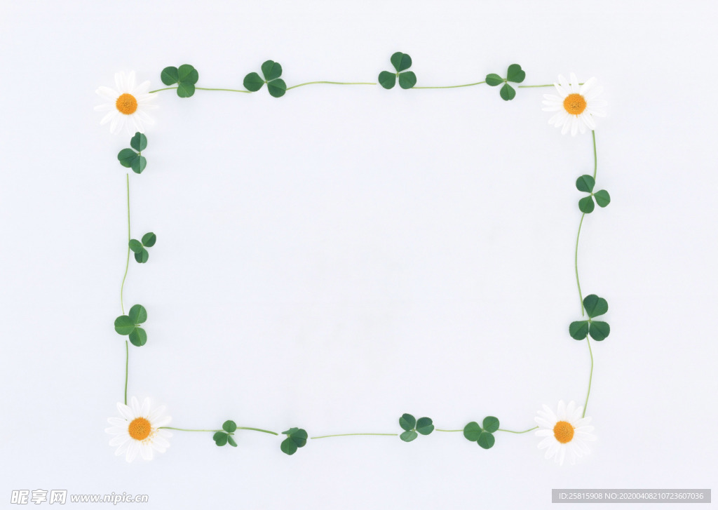 花环花篮花框唯美图片