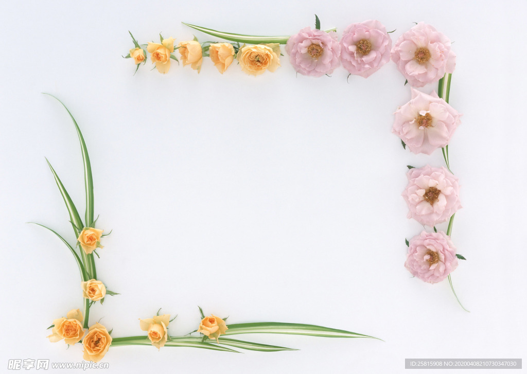 花环花篮花框唯美图片