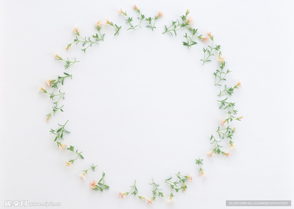 花环花篮花框唯美图片