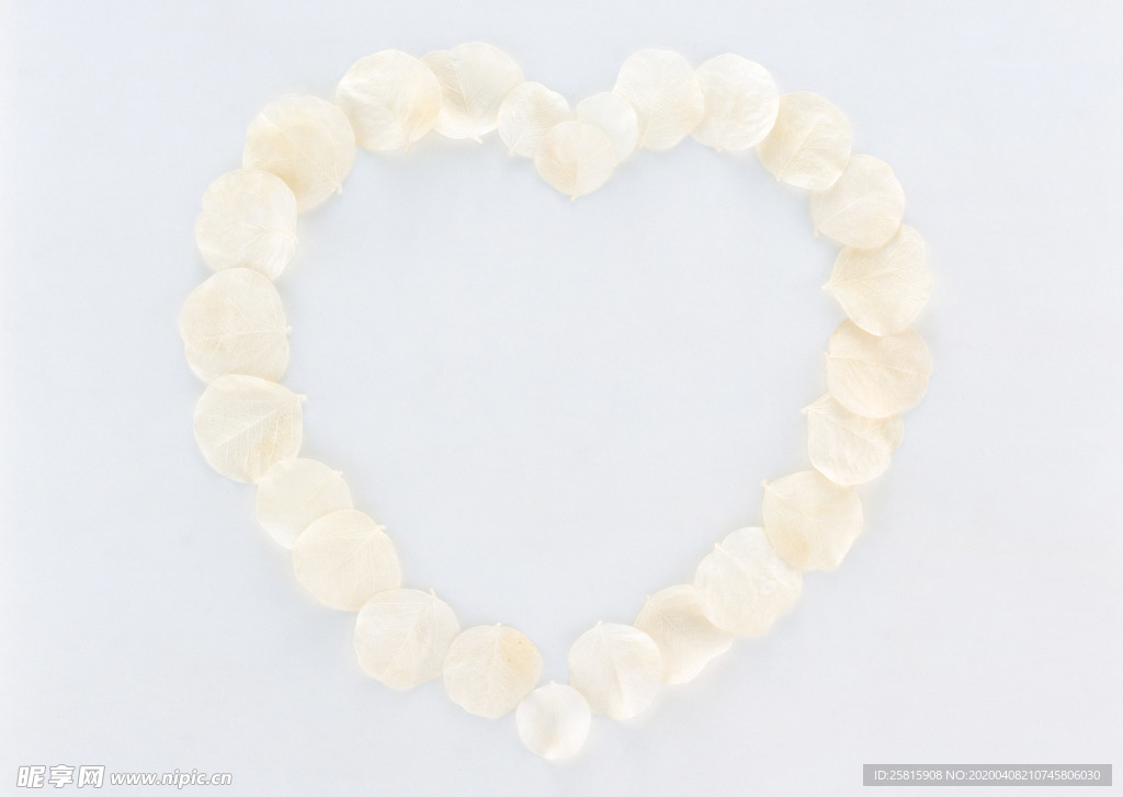 花环花篮花框唯美图片