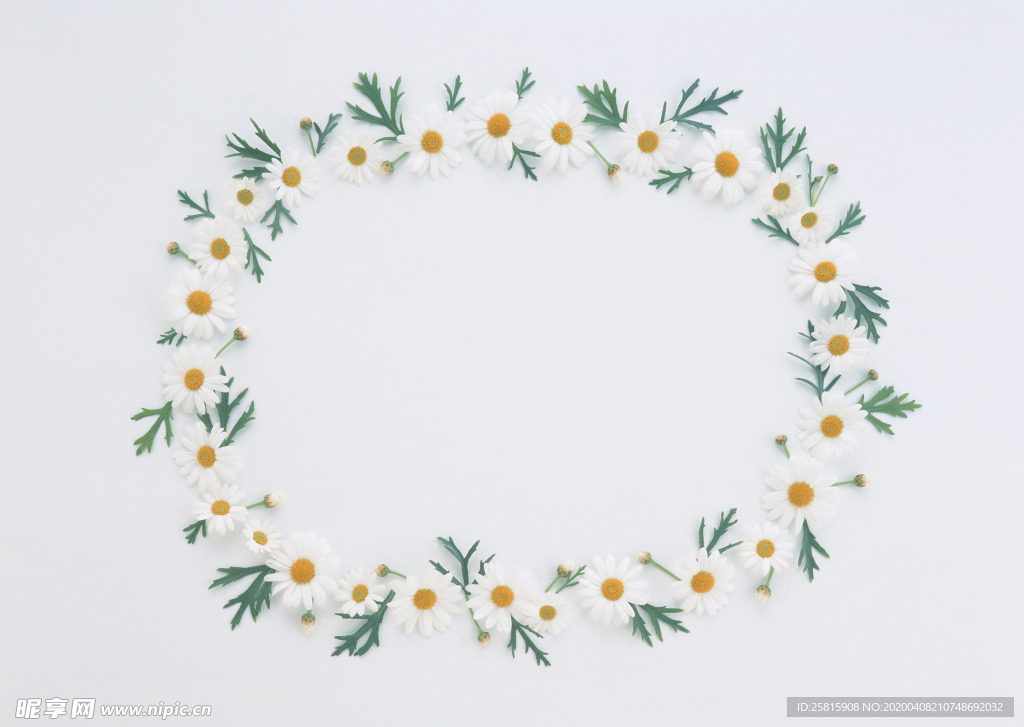 花环花篮花框唯美图片