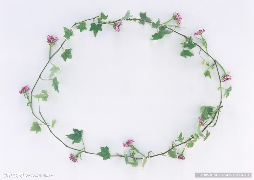 花环花篮花框唯美图片