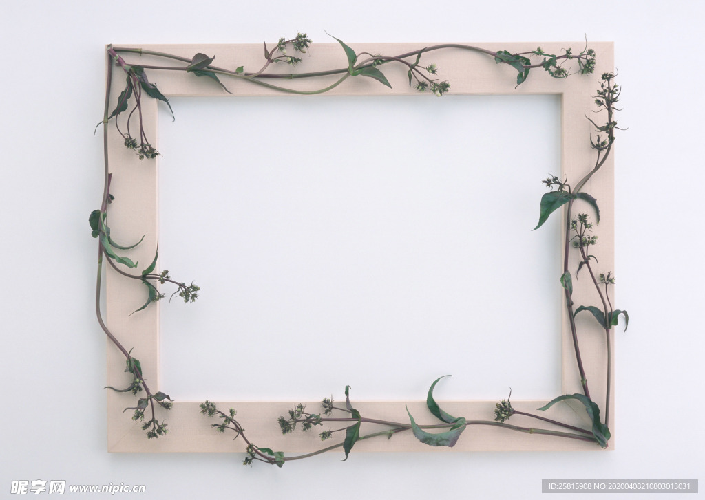 花环花篮花框唯美图片