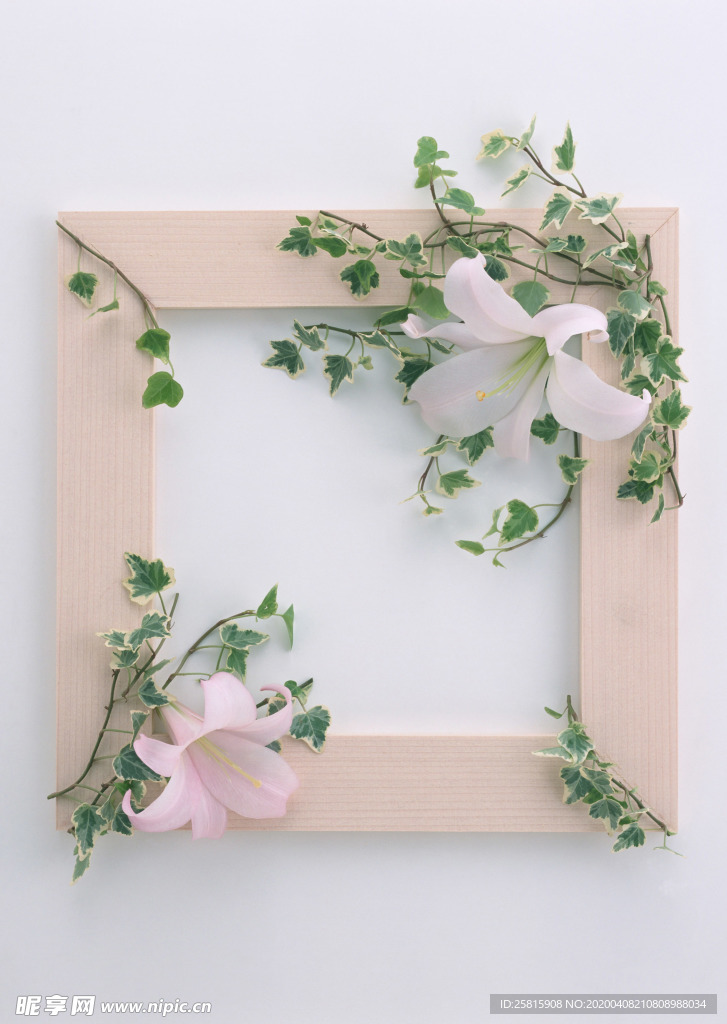 花环花篮花框唯美图片