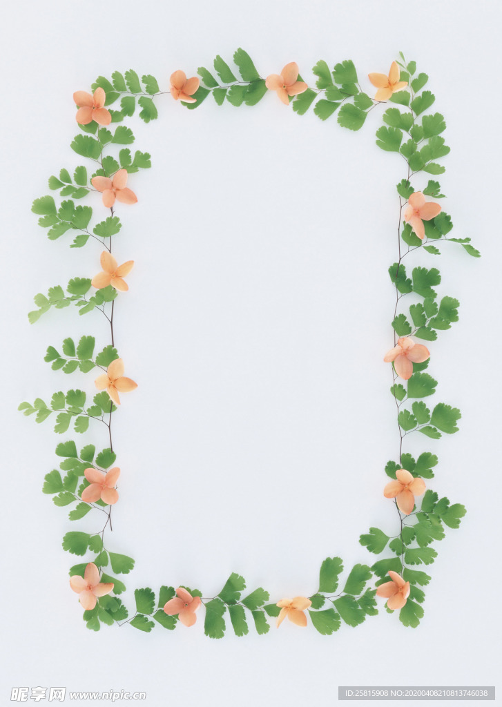 花环花篮花框唯美图片