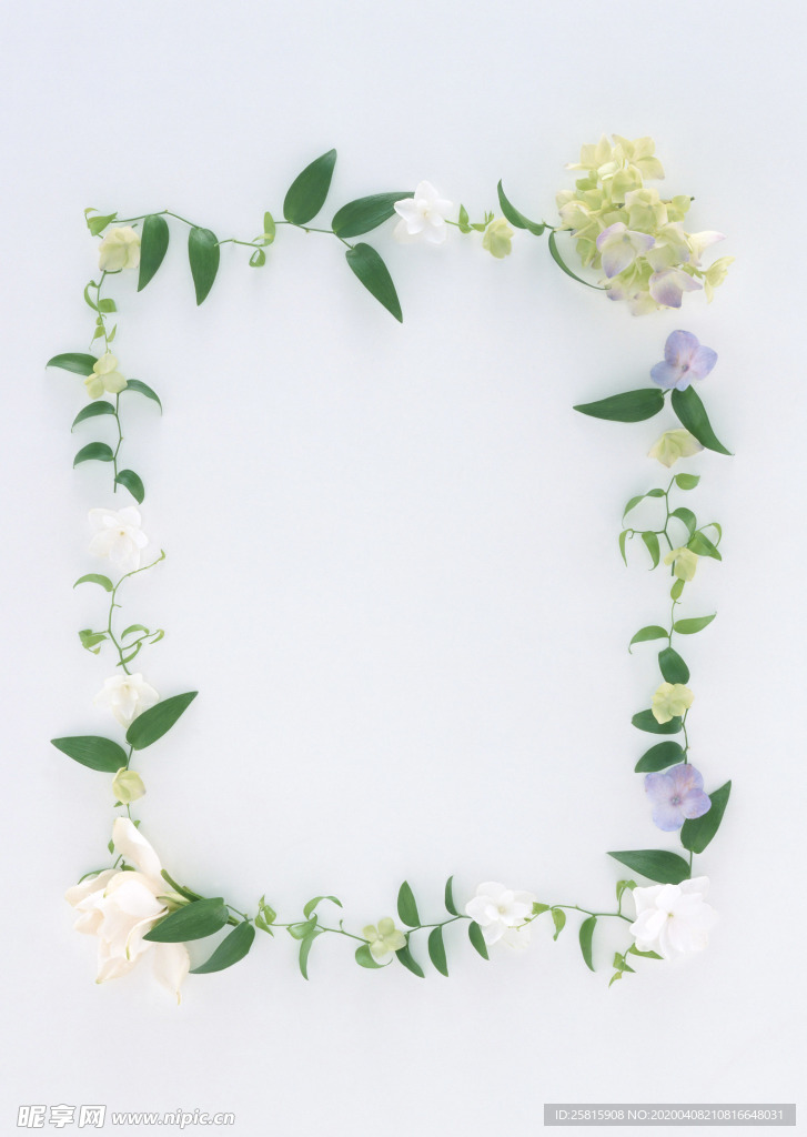 花环花篮花框唯美图片