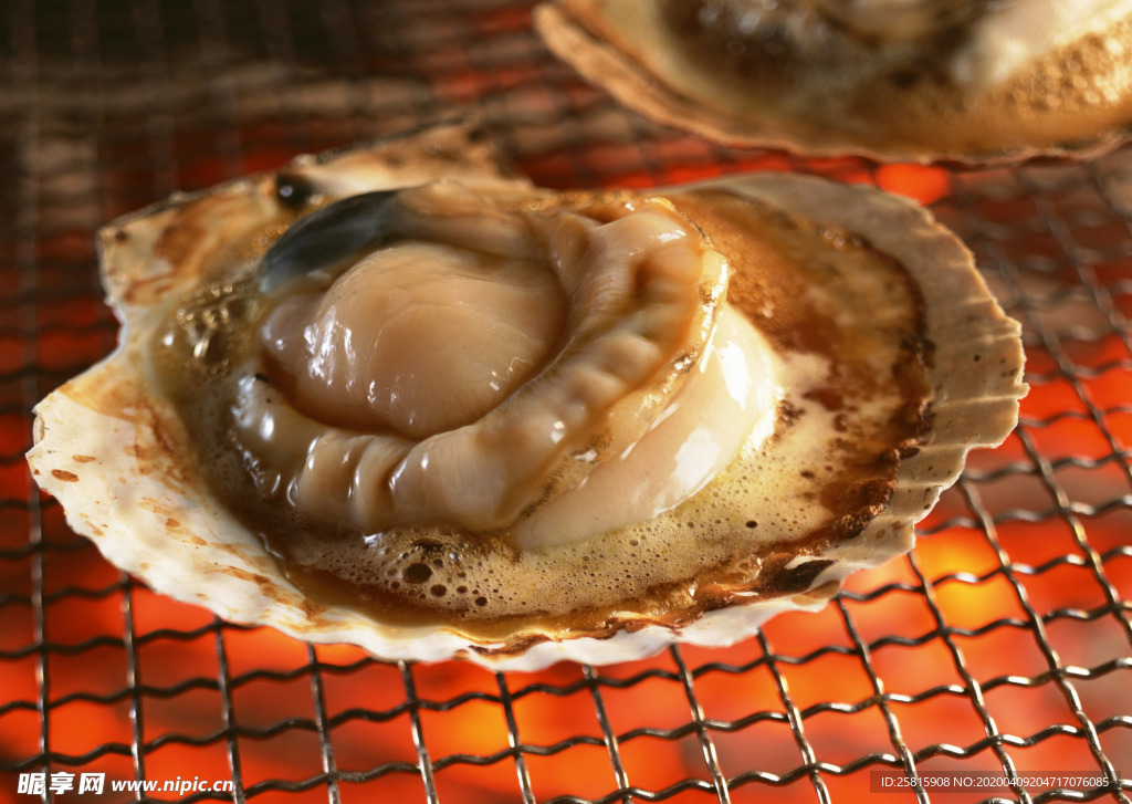 海鲜烧烤扇贝鲍鱼图片