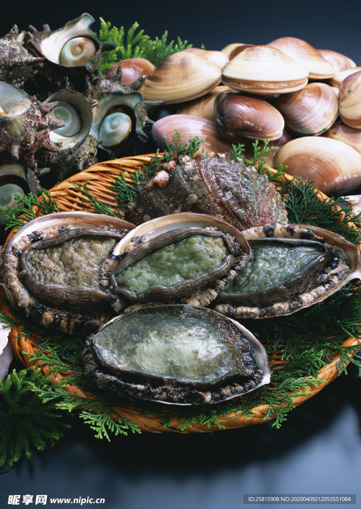 扇贝贝壳海鲜图片