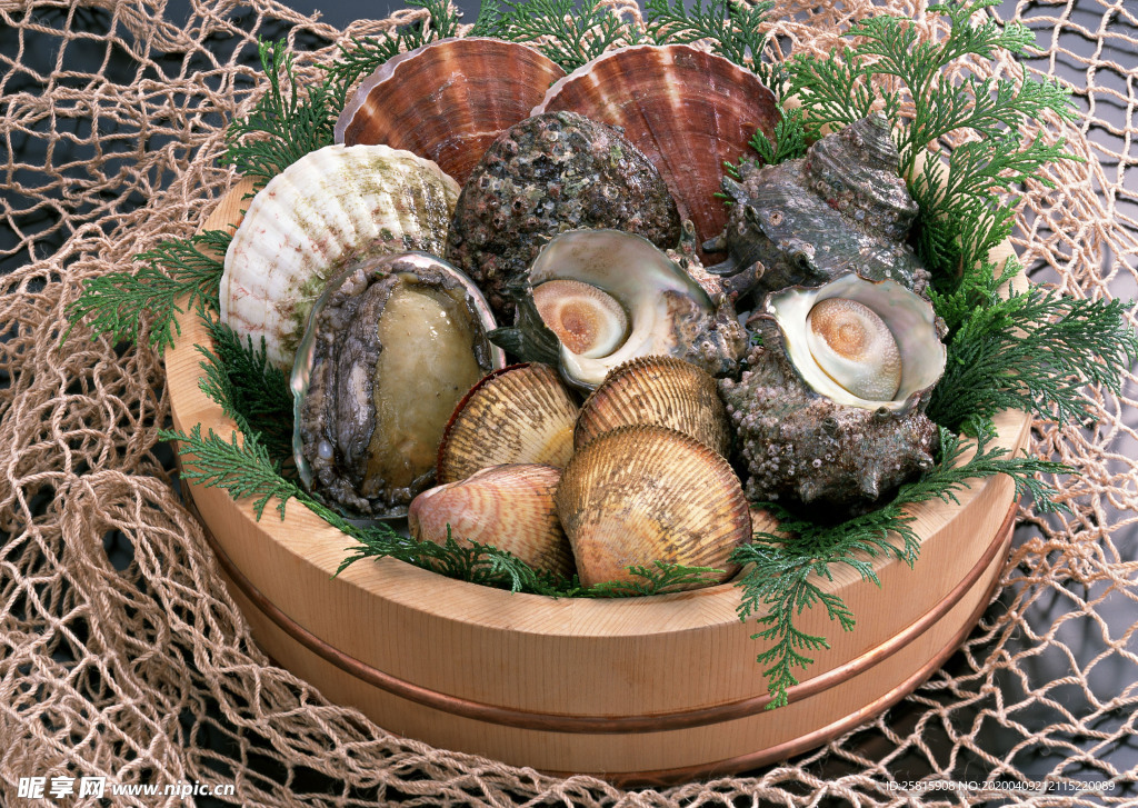 扇贝贝壳海鲜图片