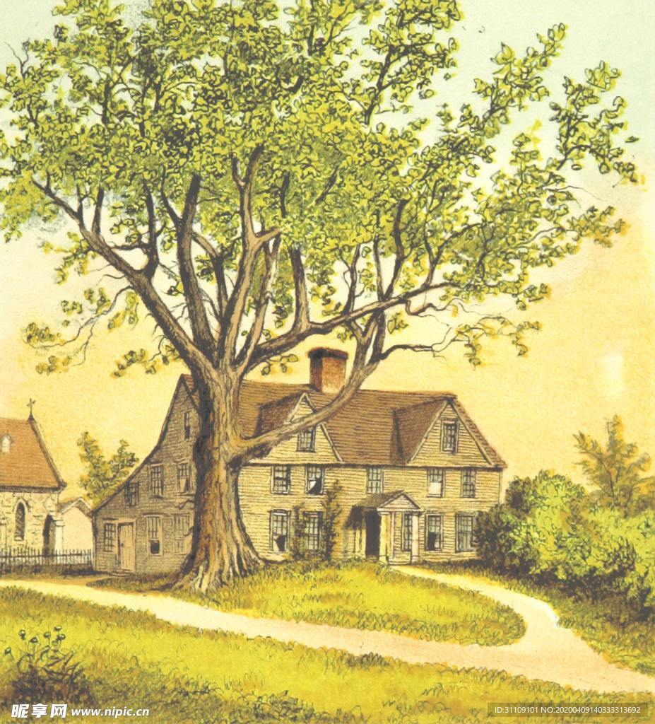 手绘插画乡村别墅与树