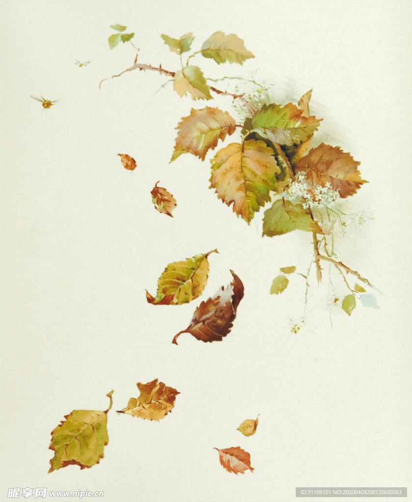 手绘插画秋天叶子