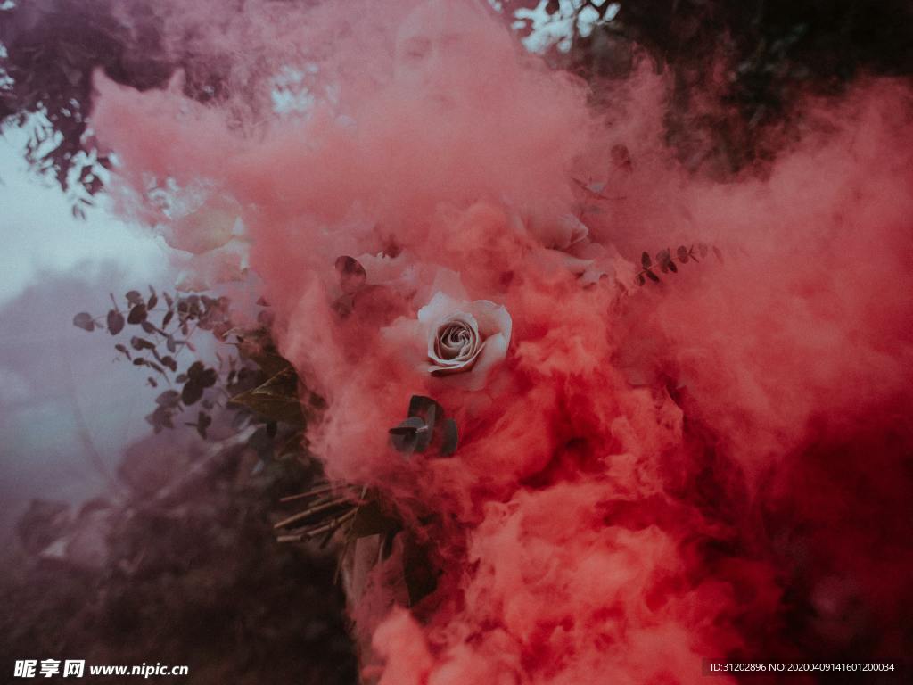 彩色烟尘玫瑰花