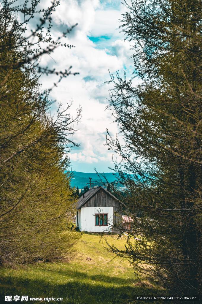 森林田野小房子