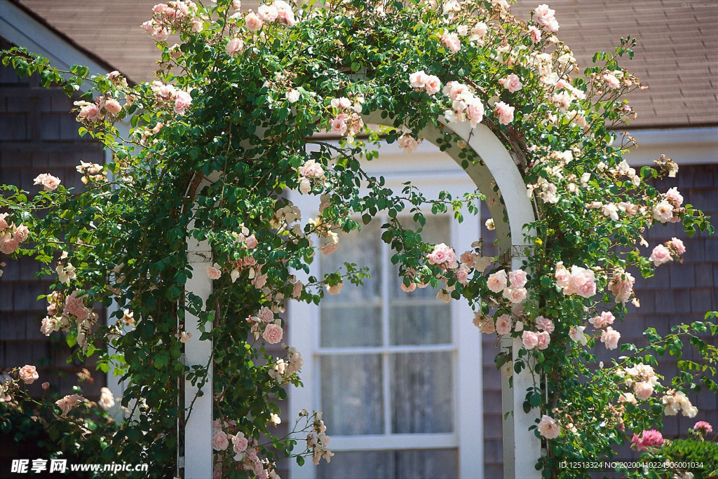花藤拱门