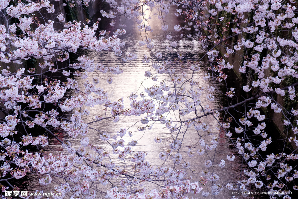 繁花