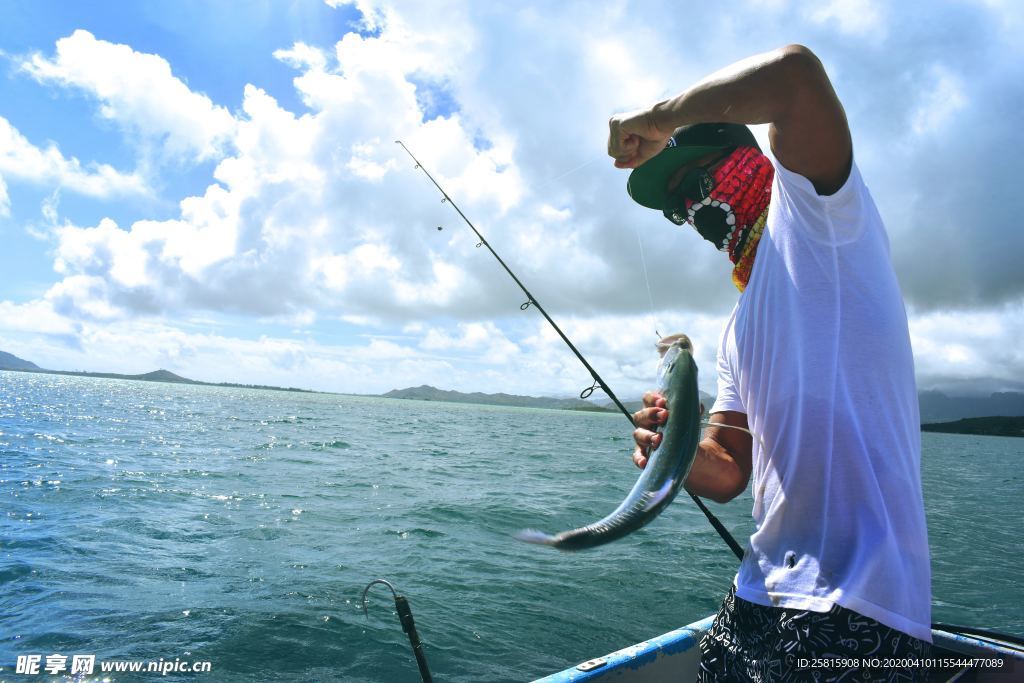 钓鱼垂钓捕鱼抓鱼图片