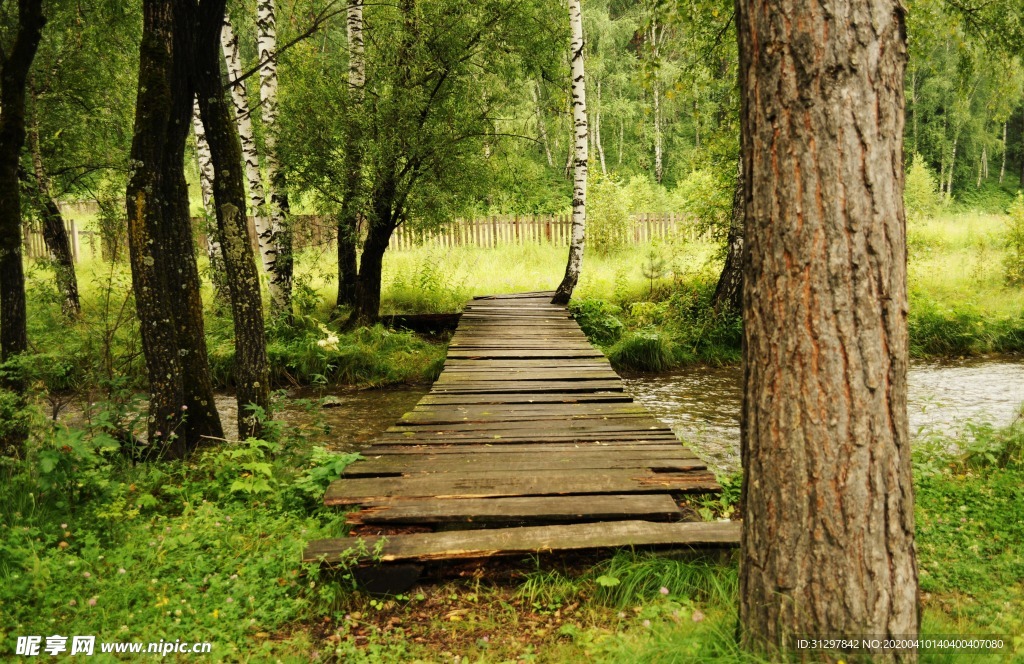 树林间的木桥