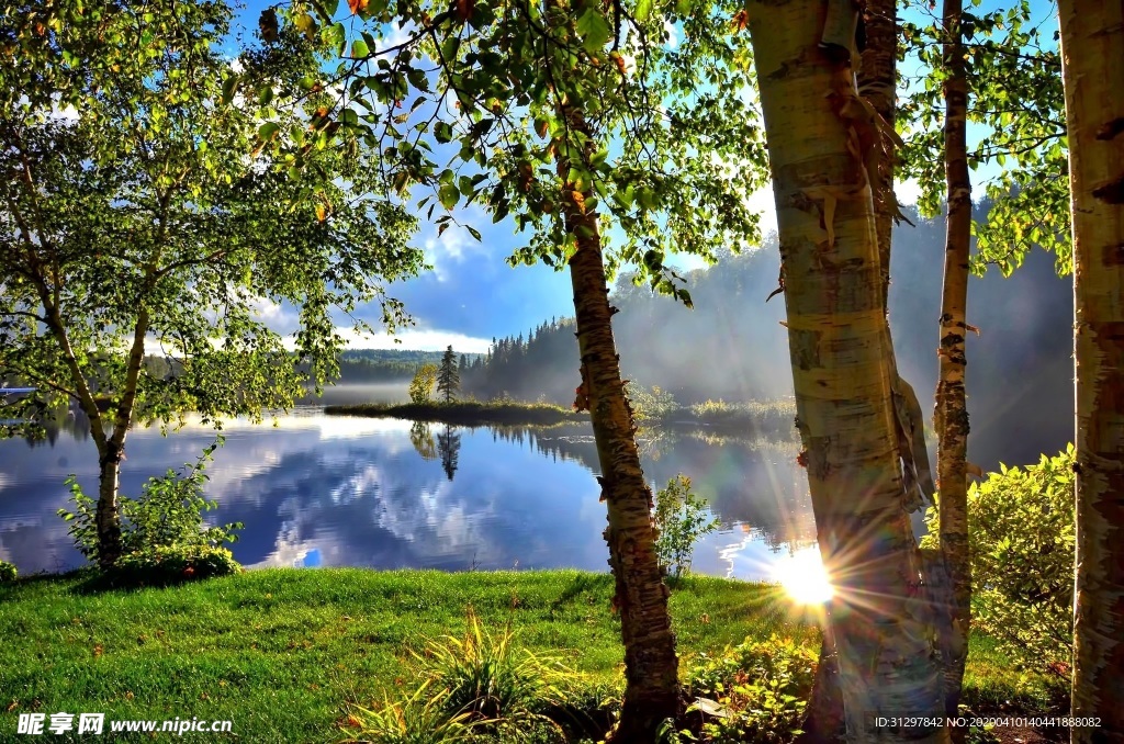 风景树木湖泊阳光