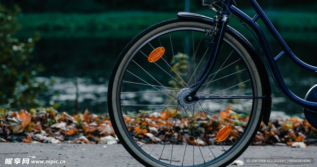 自行车共享单车车技图片