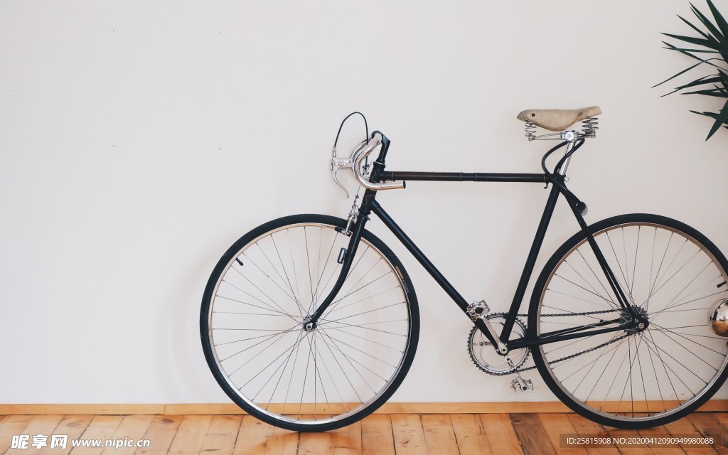 自行车共享单车车技图片