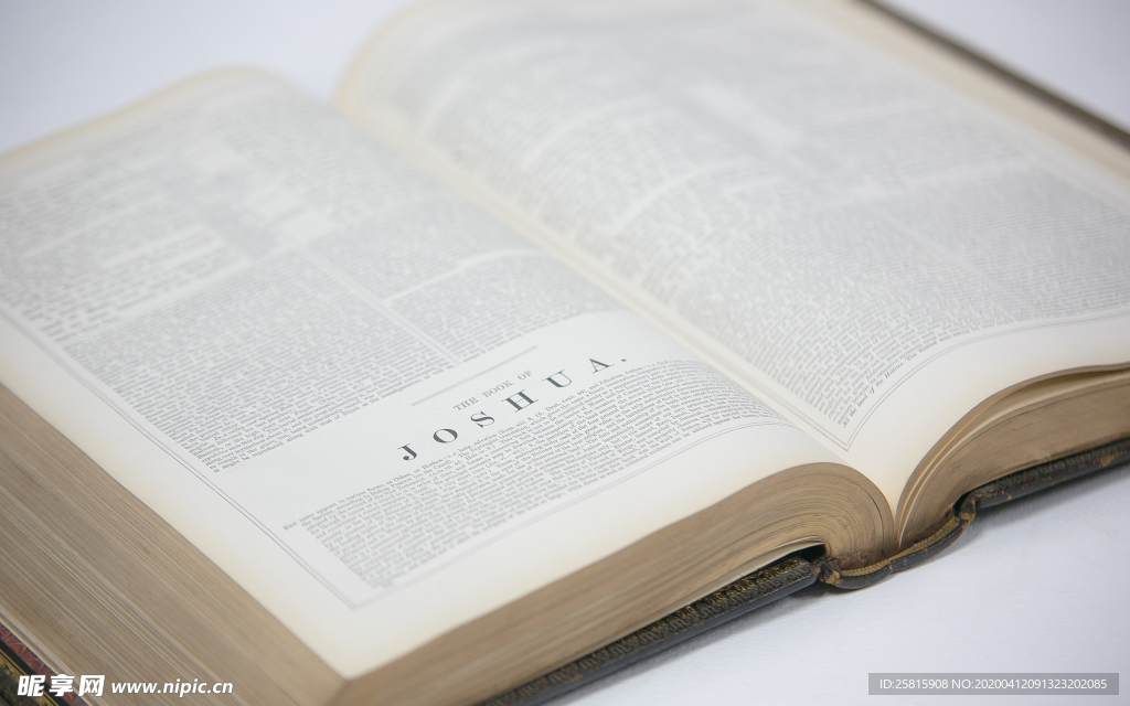 阅读看书生活图片