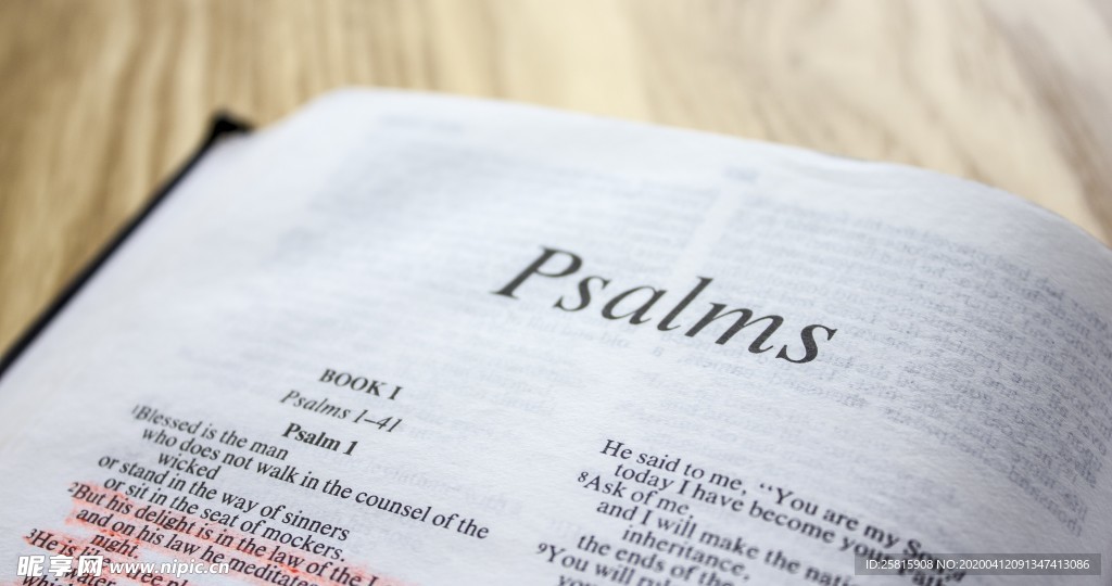 阅读看书生活图片