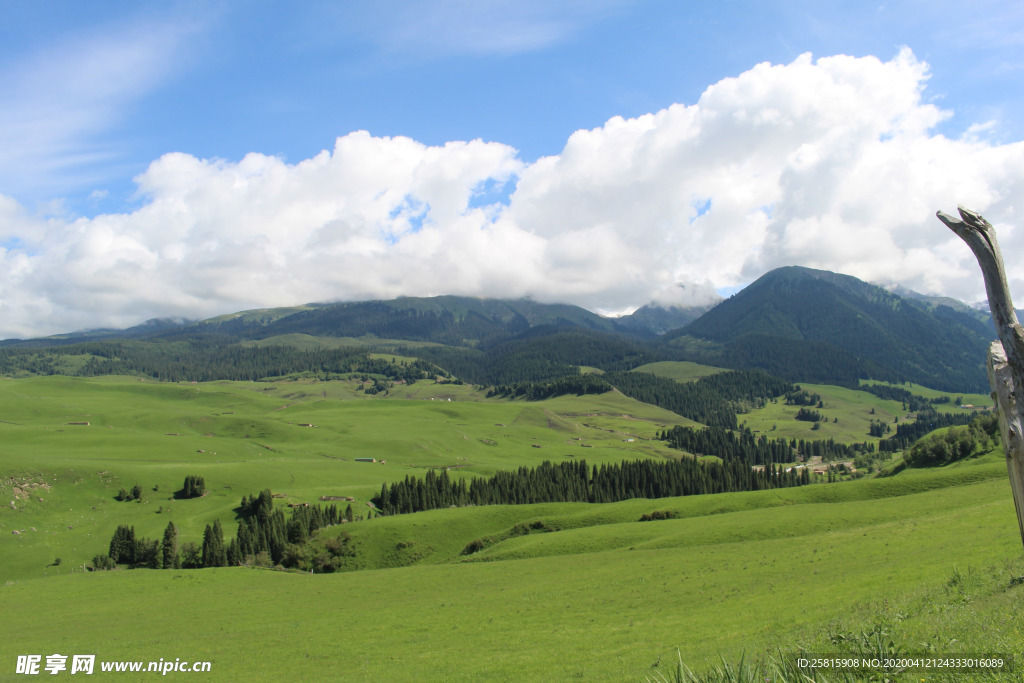 田园田野绿色原野图片