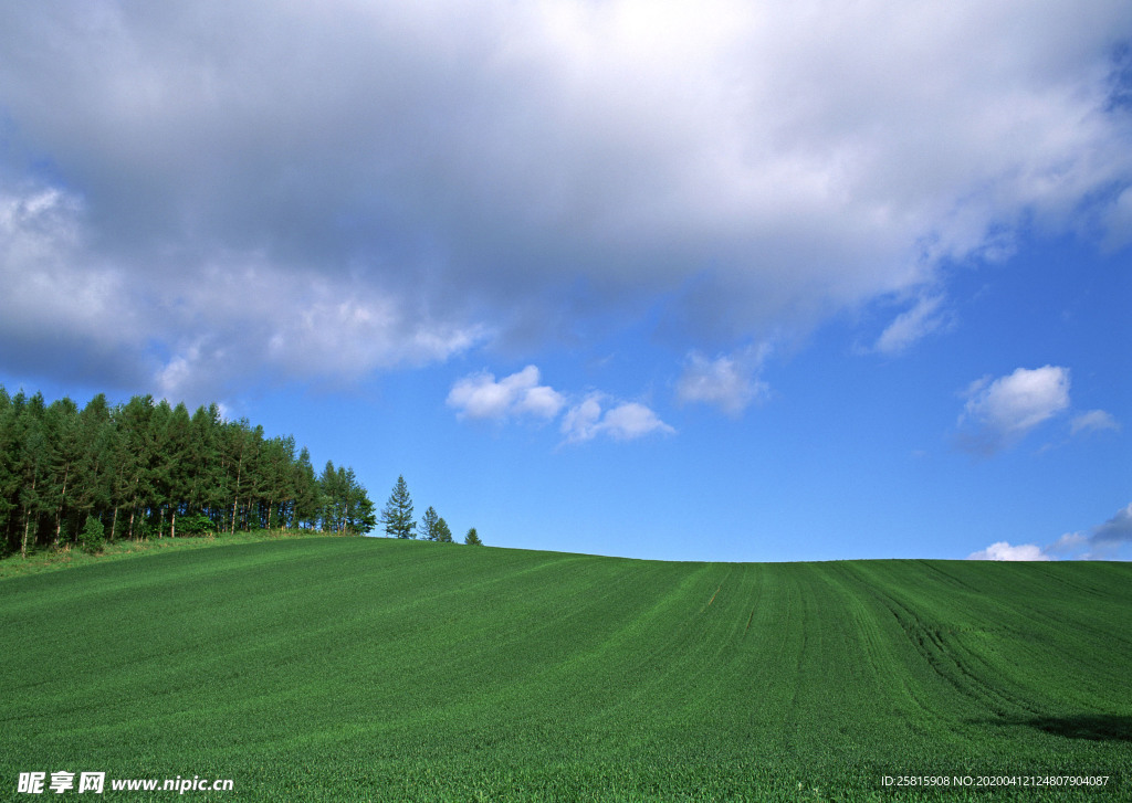 田园田野绿色原野图片