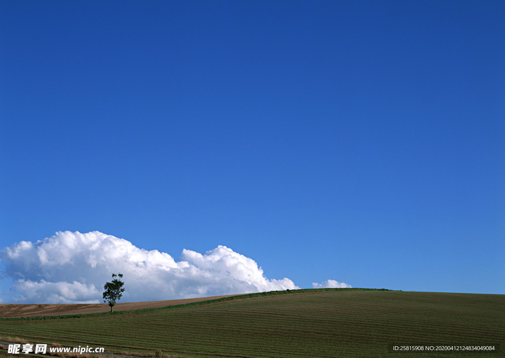 田园田野绿色原野图片