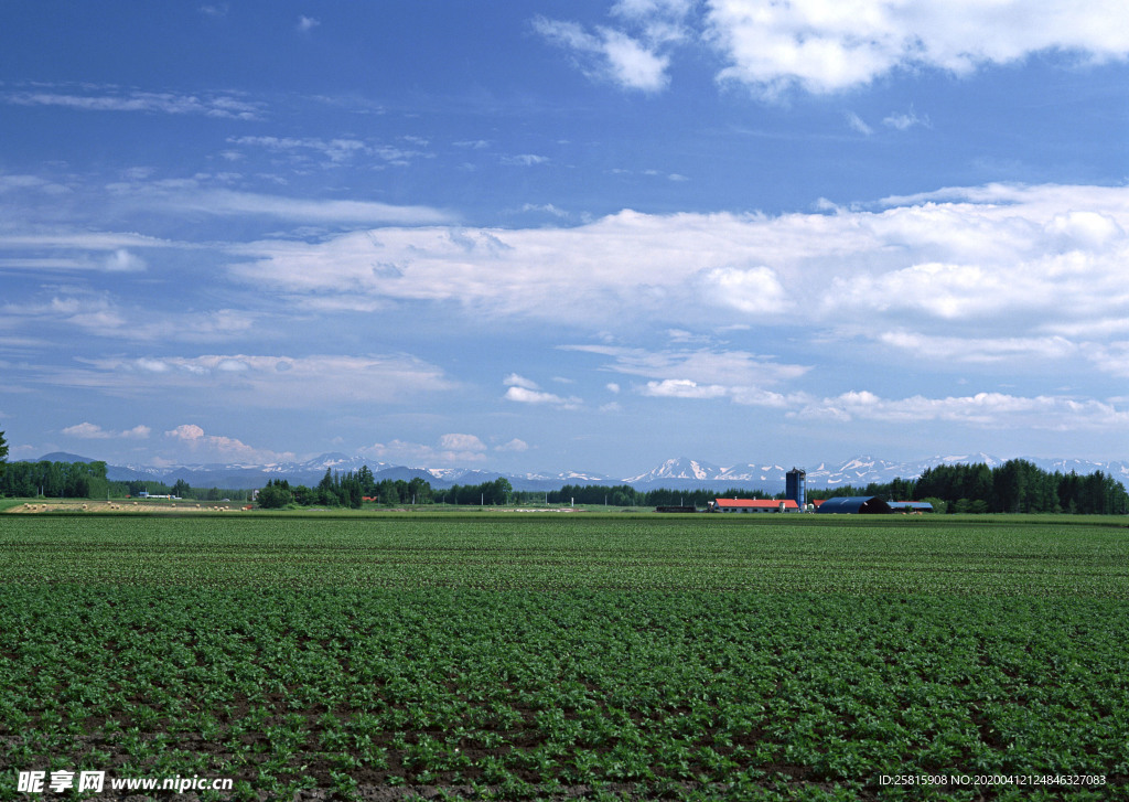 田园田野绿色原野图片