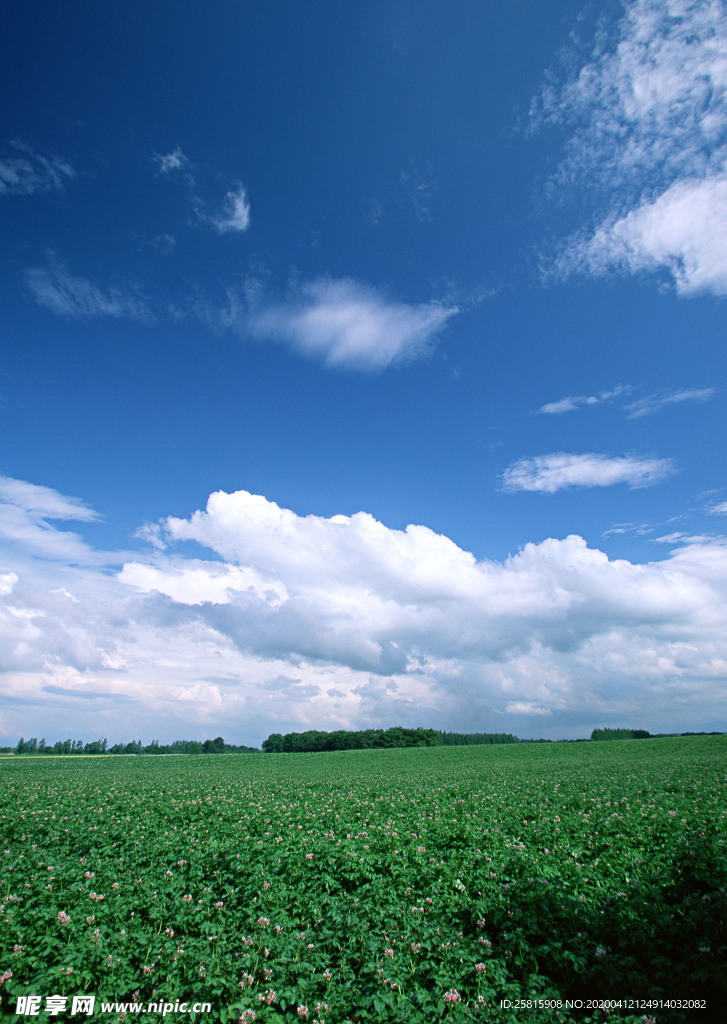 田园田野绿色原野图片