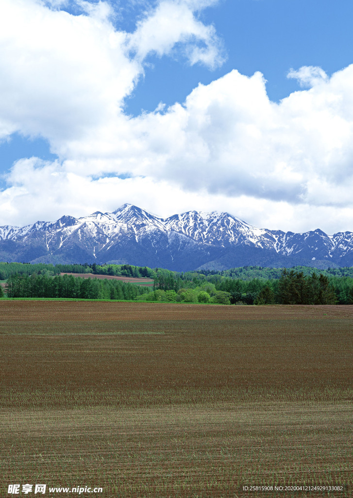 田园田野绿色原野图片