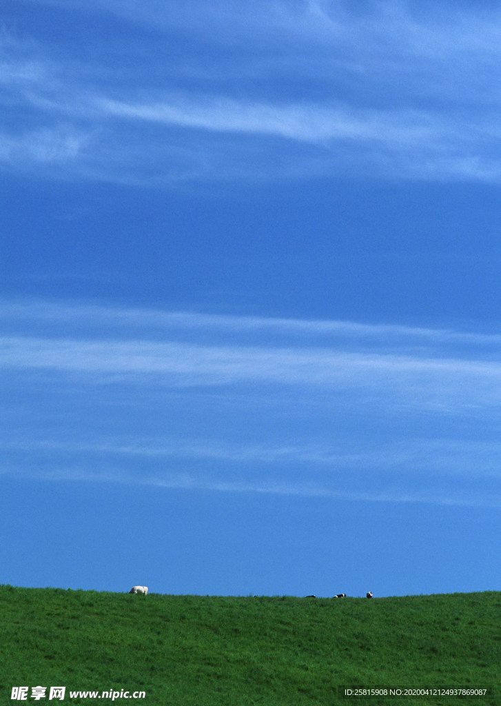 田园田野绿色原野图片