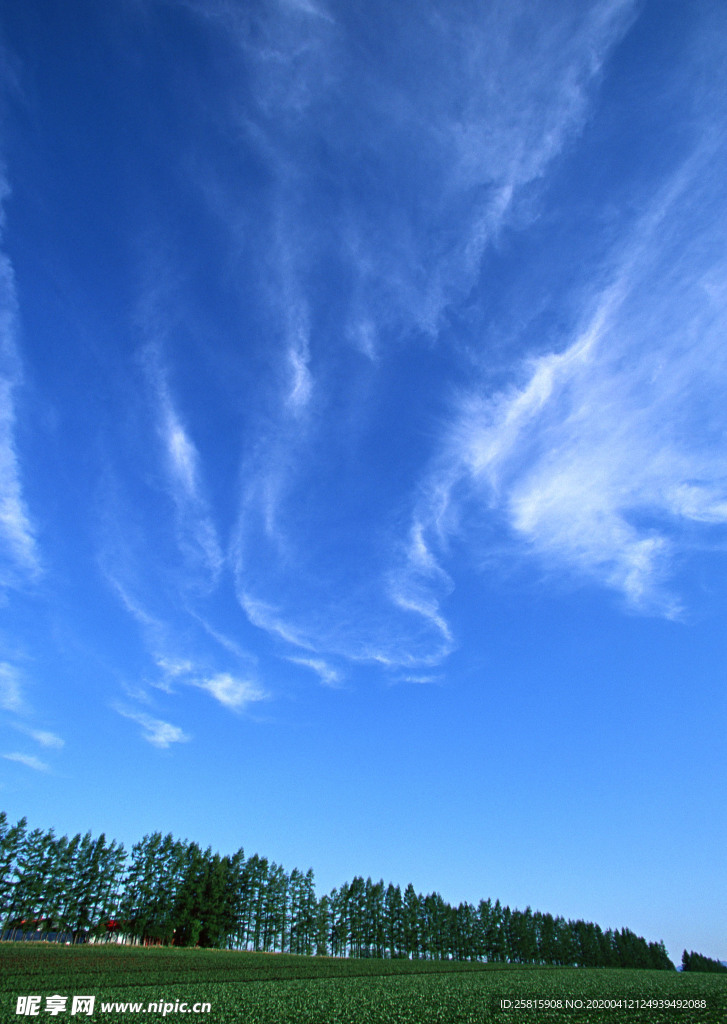 田园田野绿色原野图片