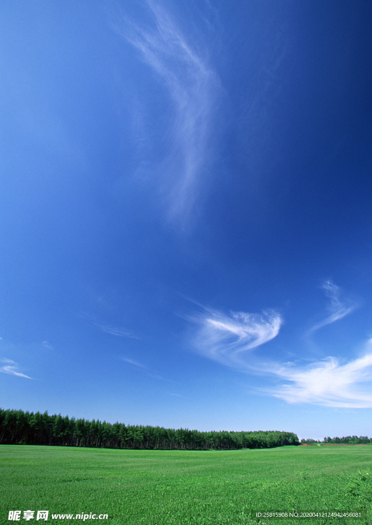田园田野绿色原野图片
