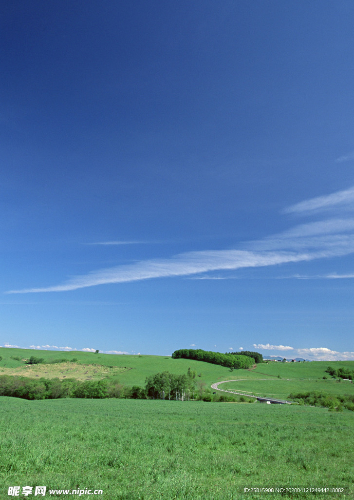 田园田野绿色原野图片