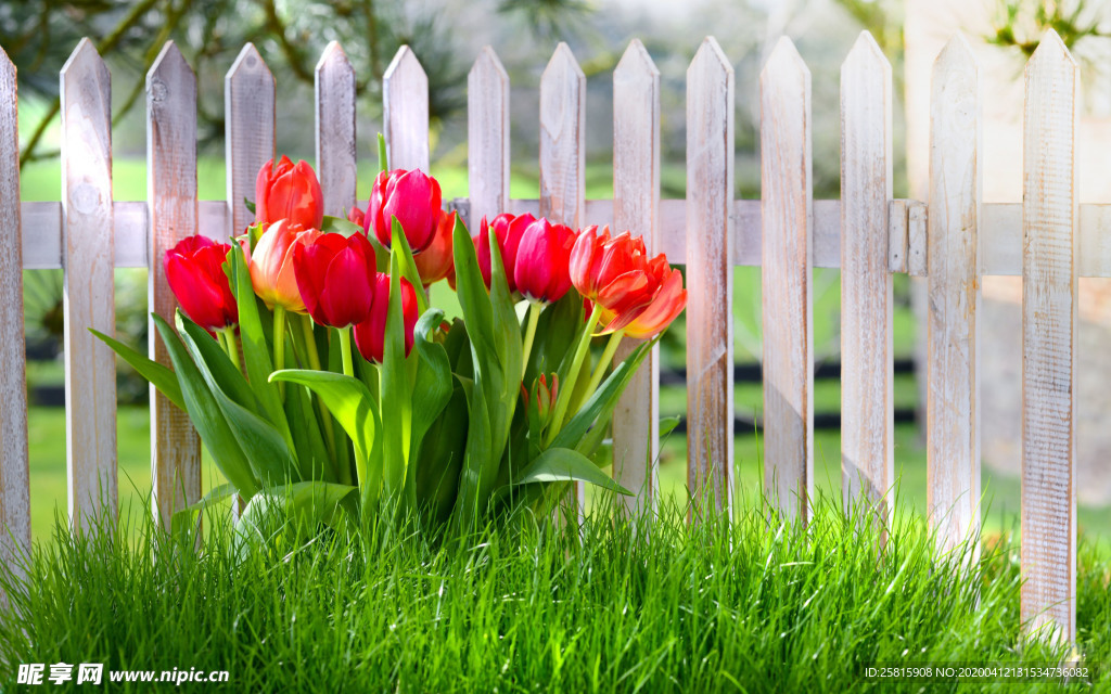 栅栏篱笆木栏围栏围墙图片