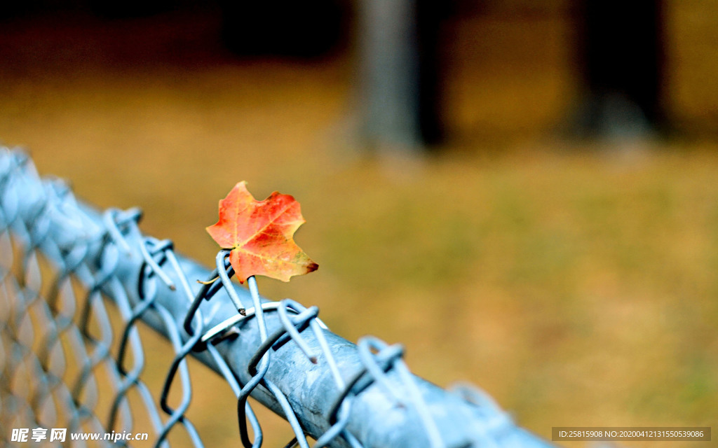 栅栏篱笆木栏围栏围墙图片