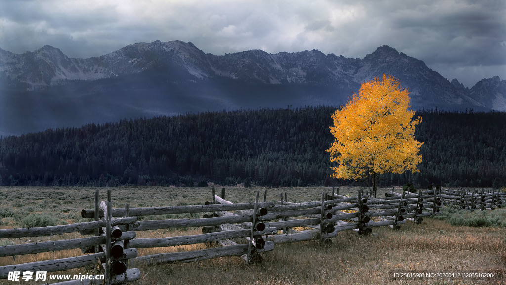 栅栏篱笆木栏围栏围墙图片