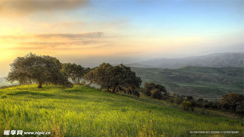 田园田野绿色原野图片