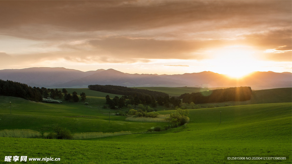 田园田野绿色原野图片