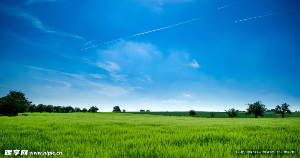 田园田野绿色原野图片