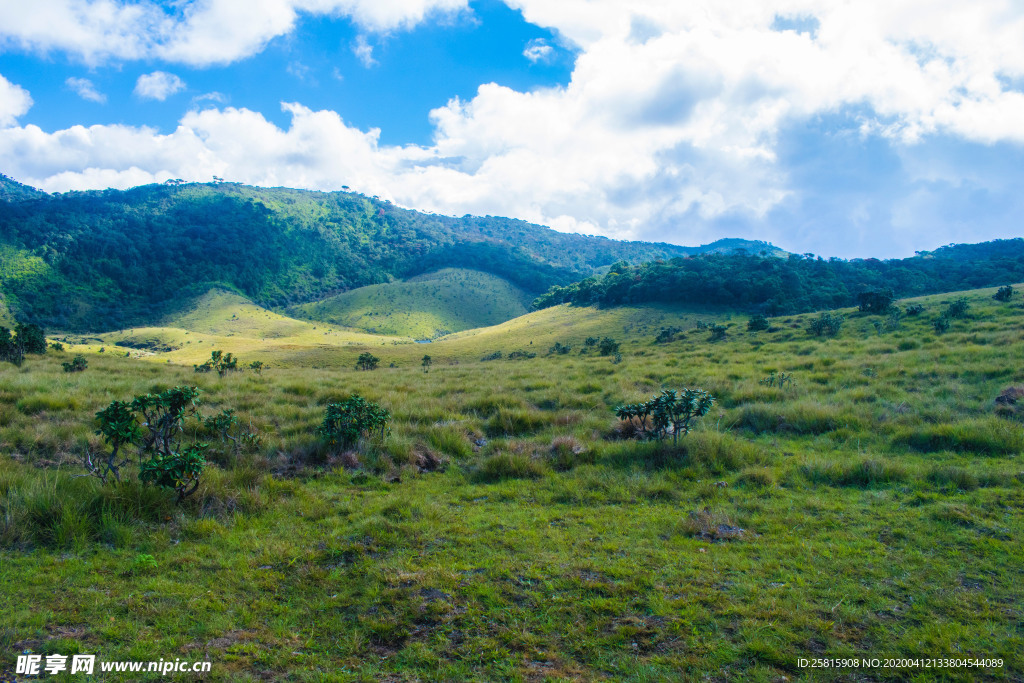 田园田野绿色原野图片
