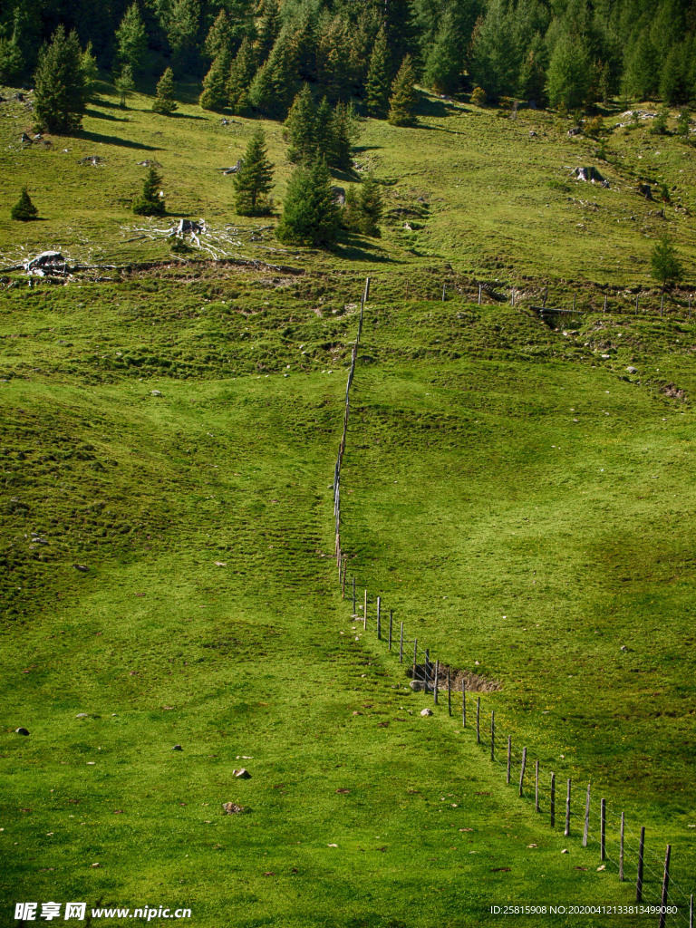 田园田野绿色原野图片