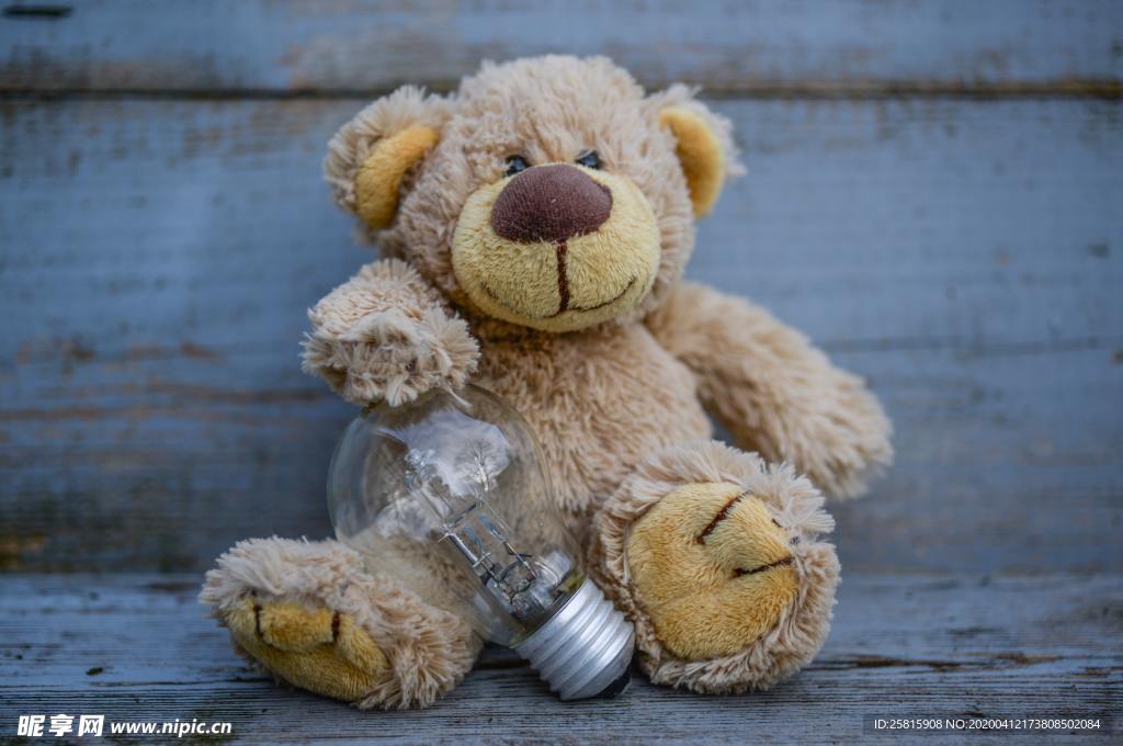 玩具熊毛绒玩具图片